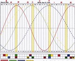 gambling biorhythm chart|How to use Biorhythms to Determine Your Peak Days.